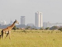 Nairobi ~ Maastricht